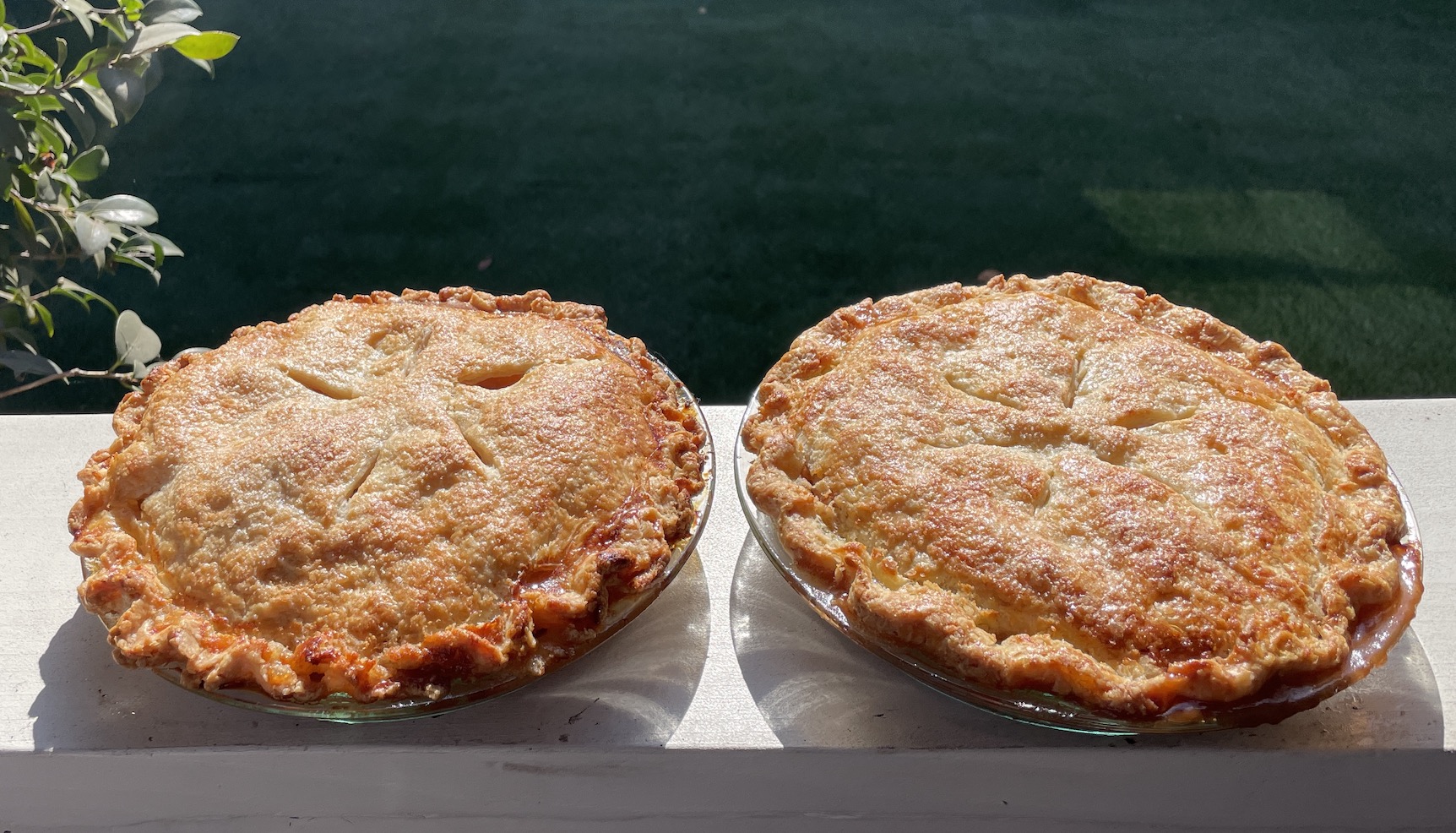 Freshly-baked organic apple pies cooling on a sunny porch